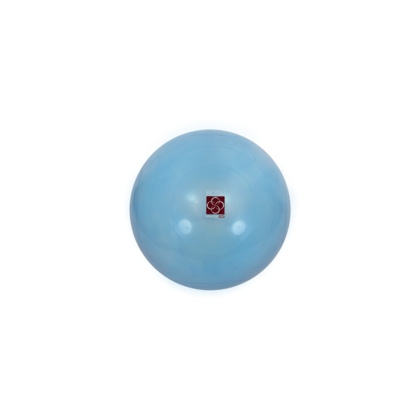Ballast™ Ball By Bosu®